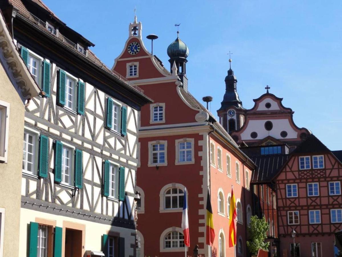 Apartmán Perfekt Fuer Familien Und Gruppen Nur 10Min Vom Europapark - W6 Ettenheim Exteriér fotografie